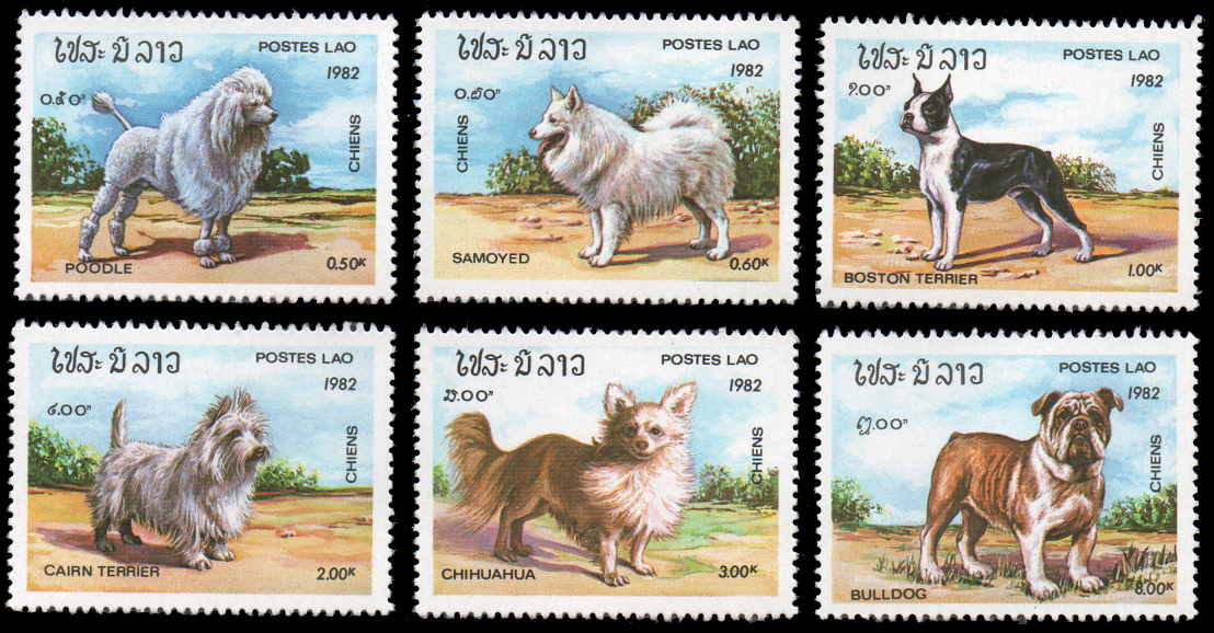 1982 Dogs