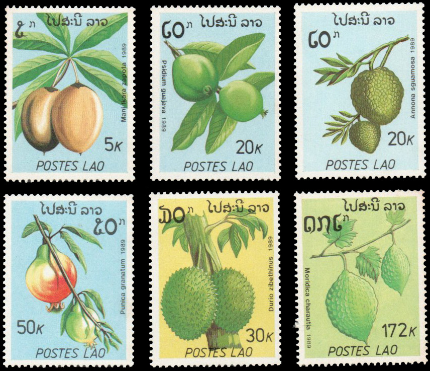 Fruits 1989