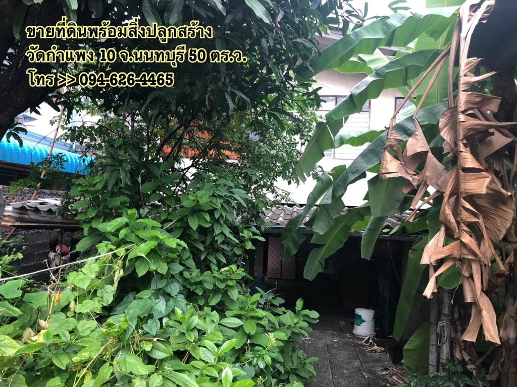 ขายด่วน ที่ดินพร้อมสิ่งปลูกสร้าง ซอยวัดกำแพง 10 จังหวัดนนทบุรี 50 ตร.ว.