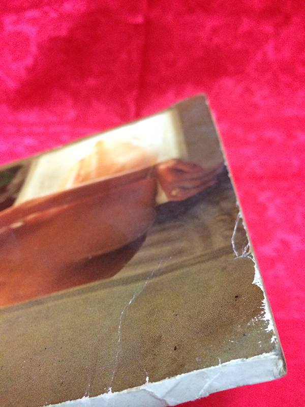 หนุ่มสาว ฉบับมินิ เล่มที่ 19