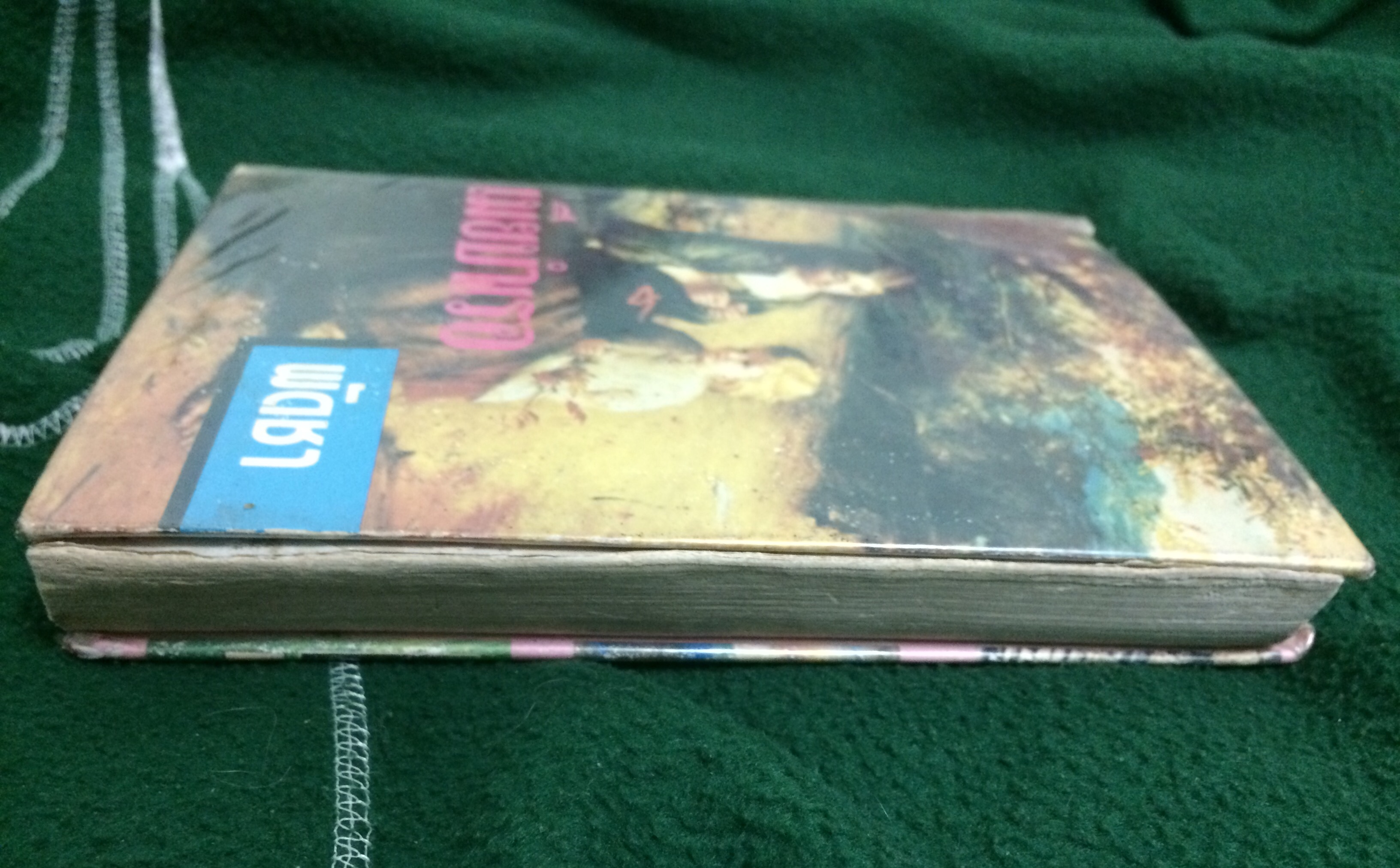 เมียบำเรอ เล่ม 3 (เล่มจบ)