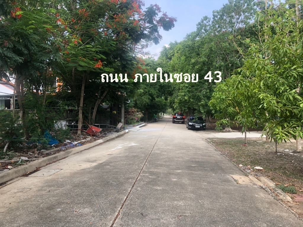ขายที่ดินเปล่า ในหมู่บ้านชัยพฤกษ์ วัดลาดปลาดุก บางบัวทอง 70 ตร.ว เข้าซอย 43 ในหมู่บ้าน 200 เมตร