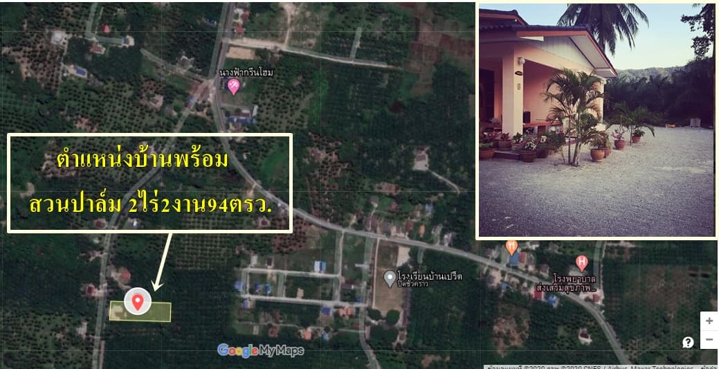 ขายบ้านสวยพร้อมที่ดินสวนปาล์ม 2 ไร่ 2 งาน 94 ตรว. พื้นที่กว้างพร้อมสำหรับทุกคนในครอบครัวใกล้ชายฝั่งทะเลห่างจากที่ว่าการ อ.ขนอม 6.6 กม. จ.นครศรีธรรมราช