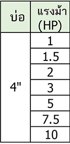 Franklin Electric มอเตอร์บาดาล บ่อ 4" รุ่น แรงม้า 1 HP (220V)