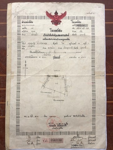 ด่วนขายที่ดินสวยราคาถูกที่สุดในเขตชุมชน อ.เพ็ญ.อุดรธานีห่างจากโรงเรียนบ้านสร้าง แป้น สปพ.อุดรธานีเขต(1) 500เมตรการเดินทางสะดวก