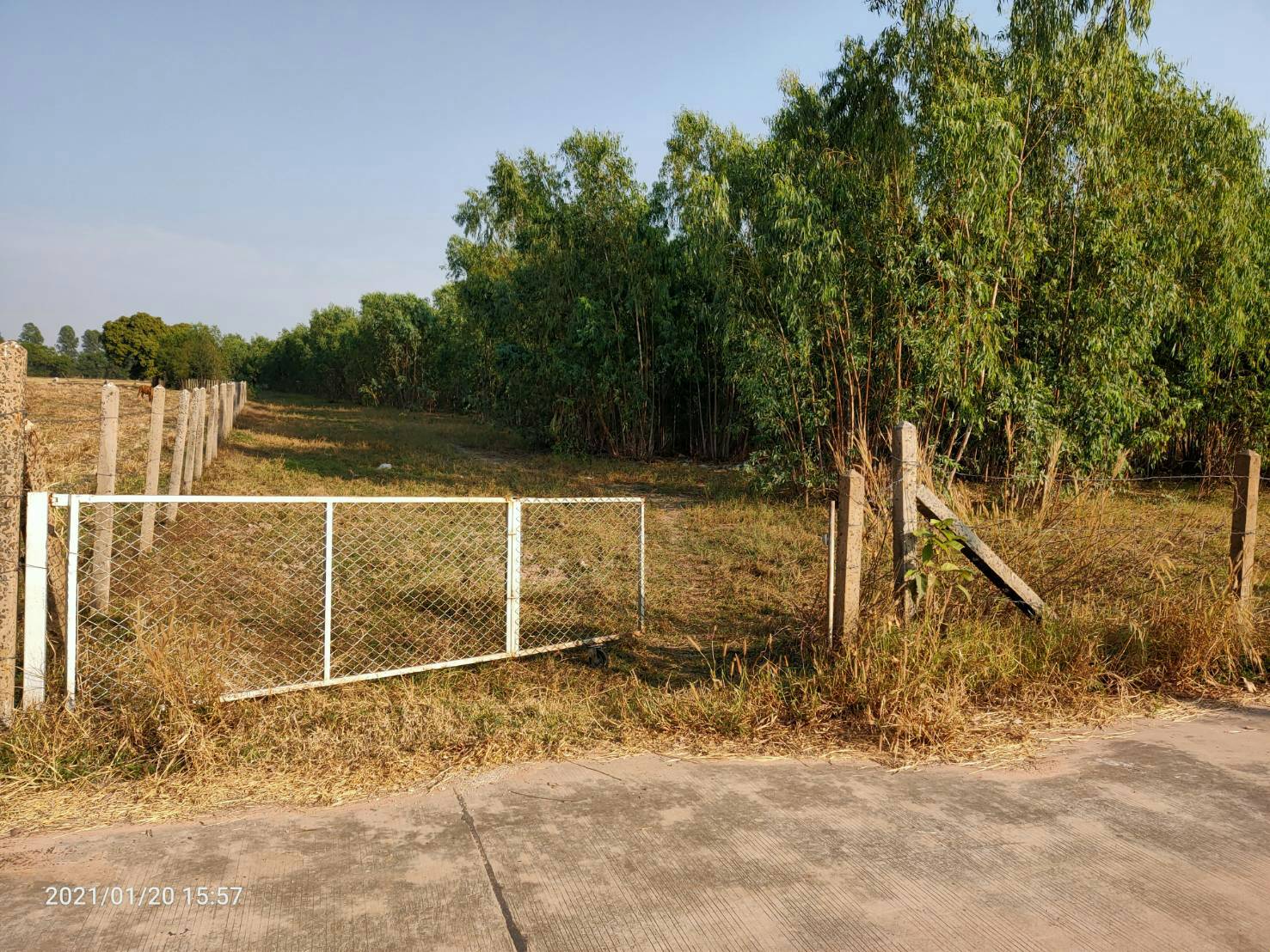 ขายที่ดินใกล้โรบินสันร้อยเอ็ด 7 ไร่ 86.4 ตรว.ติดถนนคอนกรีตบรรยากาศดีการเดินทางสะดวกสบายเหมาะทำธุรกิจอ.เมืองร้อยเอ็ด