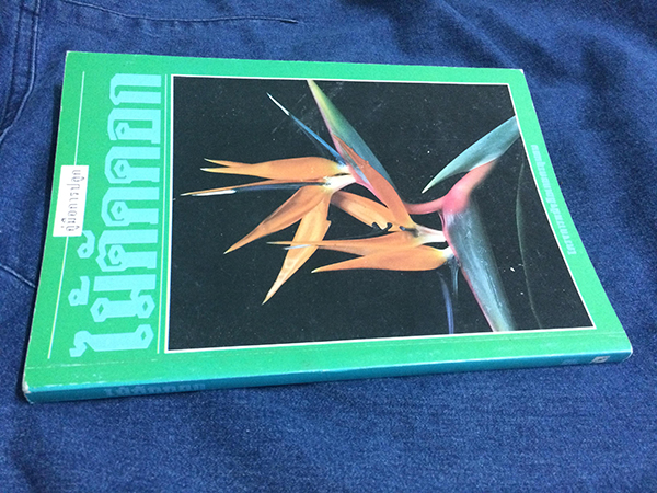 คู่มือการปลูกไม้ตัดดอก