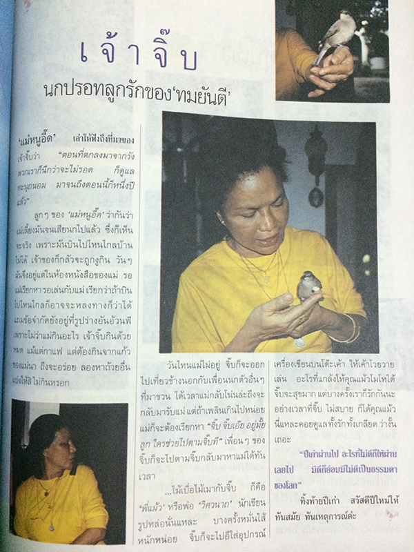 กุลสตรี ปีที่ 22 ฉบับที่ 528 มกราคม 2536