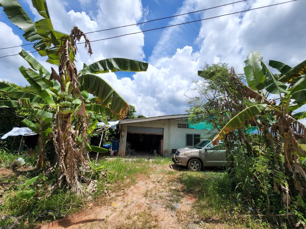 ขายสวนผลไม้ เงาะ มังคุด ทุเรียน ลองกอง ราคาถูก พร้อมบ้านพัก นํ้าไฟเข้าถึง ทางเข้าออกสะดวกสบายบรรยากาศดีเจ้าของขายเอง อำเภอมะขาม จังหวัดจันทบุรี