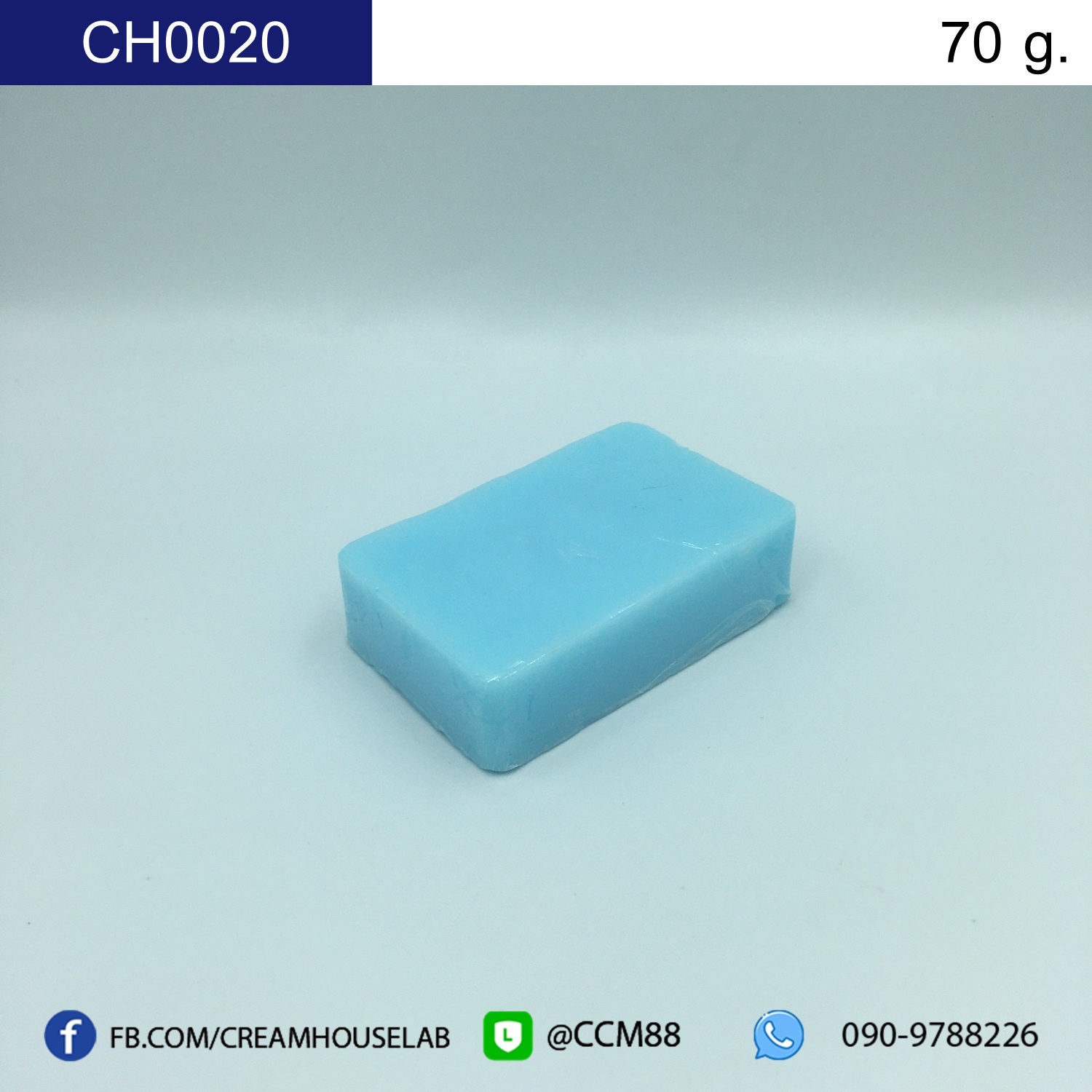 รหัส CH0020