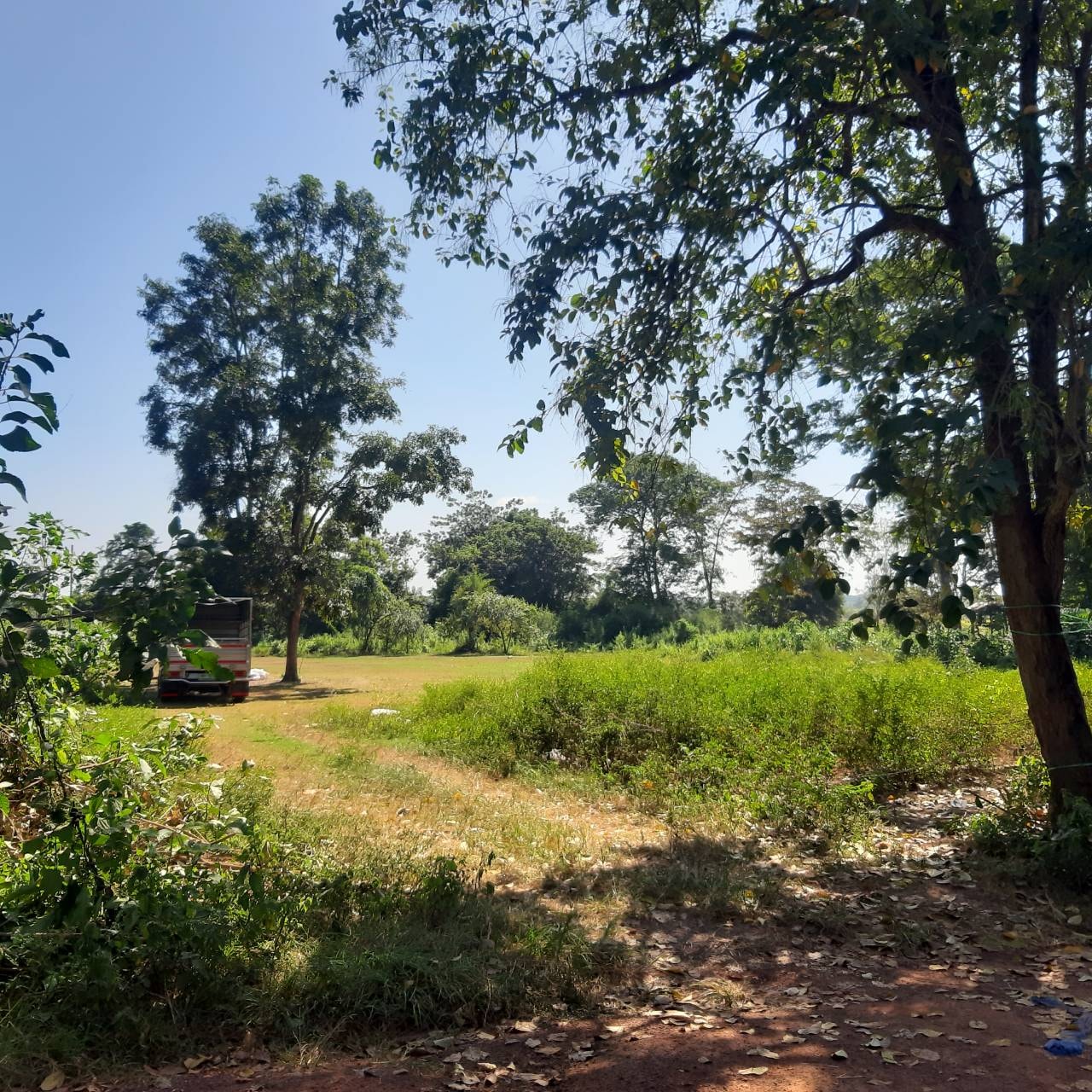 ขายที่ดินสวยบรรยากาศดีการเดินทางสะดวกสบายอำเภอเมืองหนองคาย พื้นที่ติดกัน 3 แปลงรวม26 ไร่ 3 งาน 1 ตรว. ใกล้เขตเทศบาลเมืองหนองคายเหมาะแก่การทำบ้านสวน รีสอร์ท