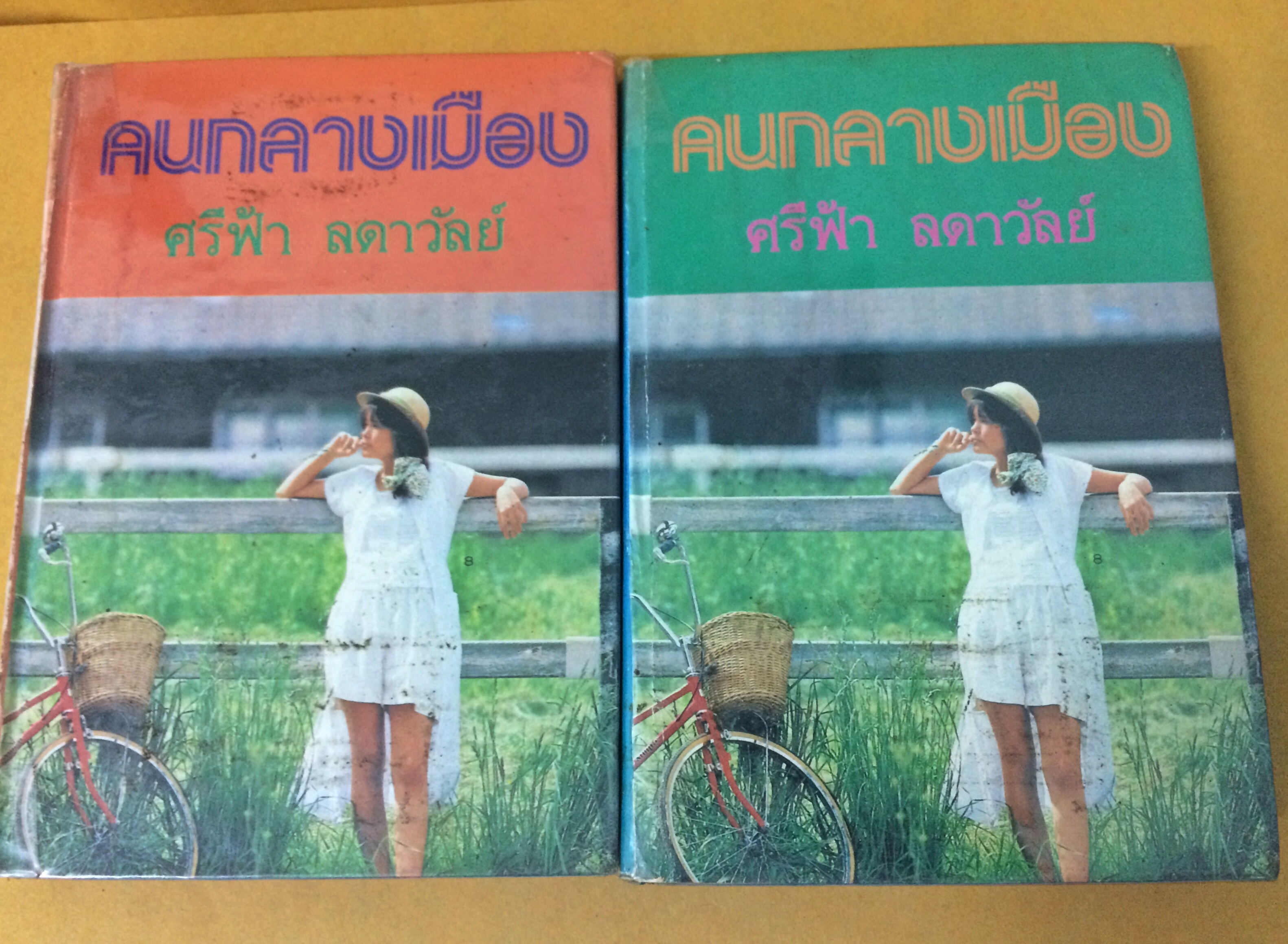 คนกลางเมือง (1-2เล่มจบ)