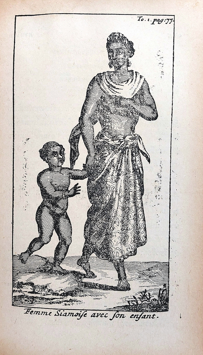 ภูมิศาสตร์วัดโพธิ์