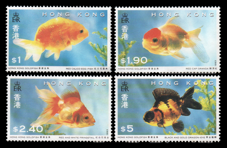 Hong Kong Gold Fish 1993