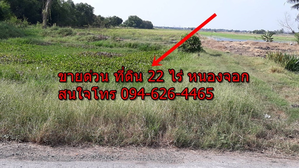 ขายด่วน ที่ดินใกล้ขนส่งหนองจอก และ รถไฟฟ้าสีส้ม จำนวน 22 ไร่ ซ. ร่วมพัฒนา 6