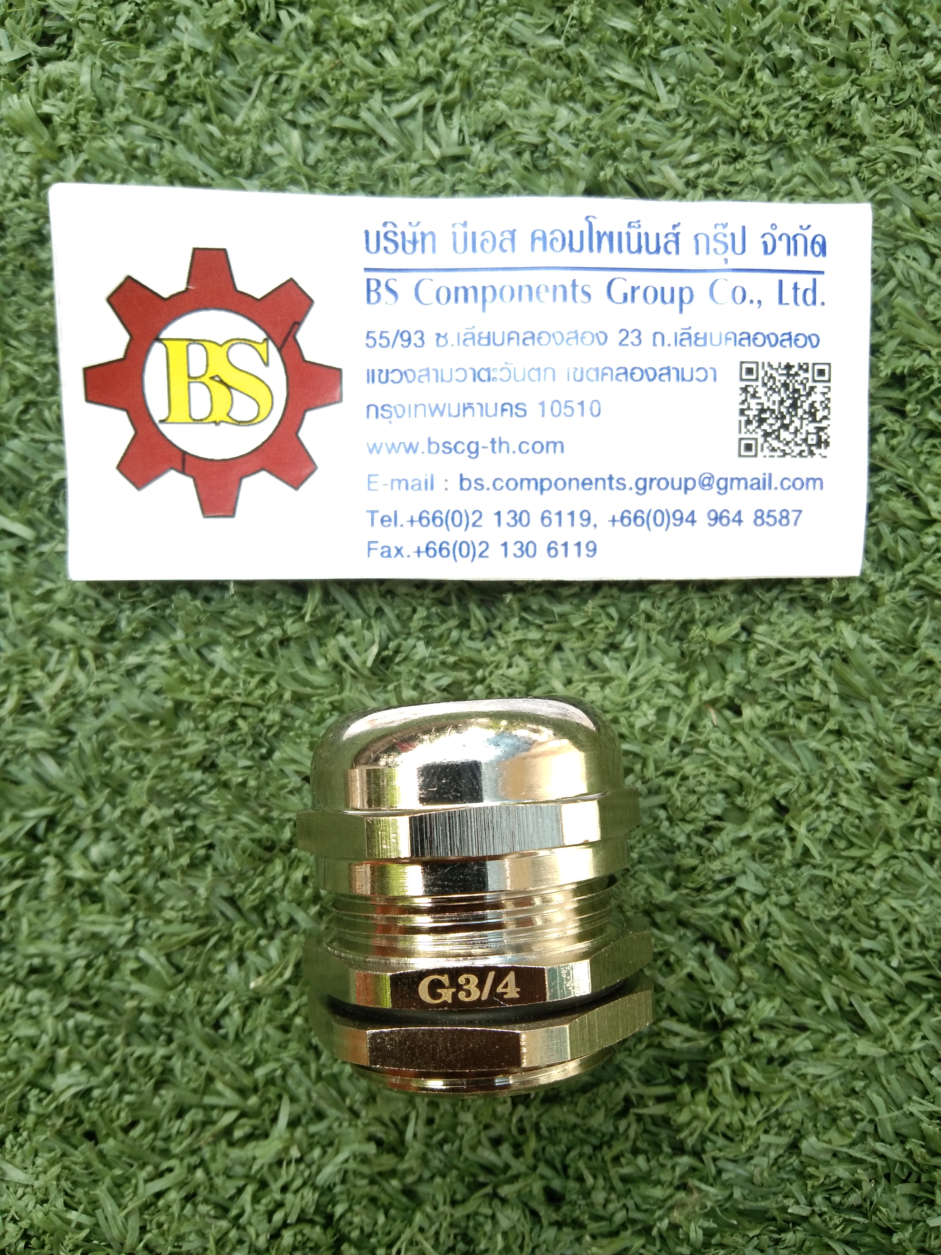 SHINOHAWA : Brass Cable grand ทองเหลือง ชุบนิเกิ้ล G3/4" IP44