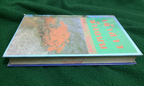 เจ้าสาวข้างถนน เล่ม 2 (เล่มจบ)