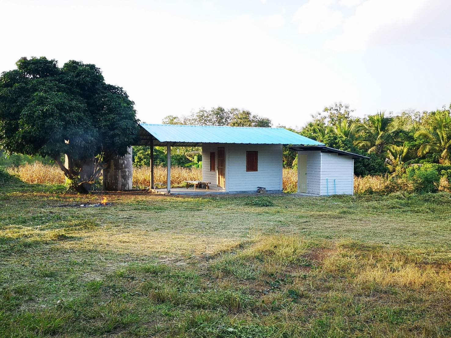 ด่วนขายที่ดินพร้อมบ้านสวนราคาถูกที่สุดมีประปาพร้อมใช้งานเนื้อที่ิ 5 ไร่ 2 งาน 69 ตรว. บ้านนาฟาน ต.ดอนไฟ อ.แม่ทะ จ.ลำปาง