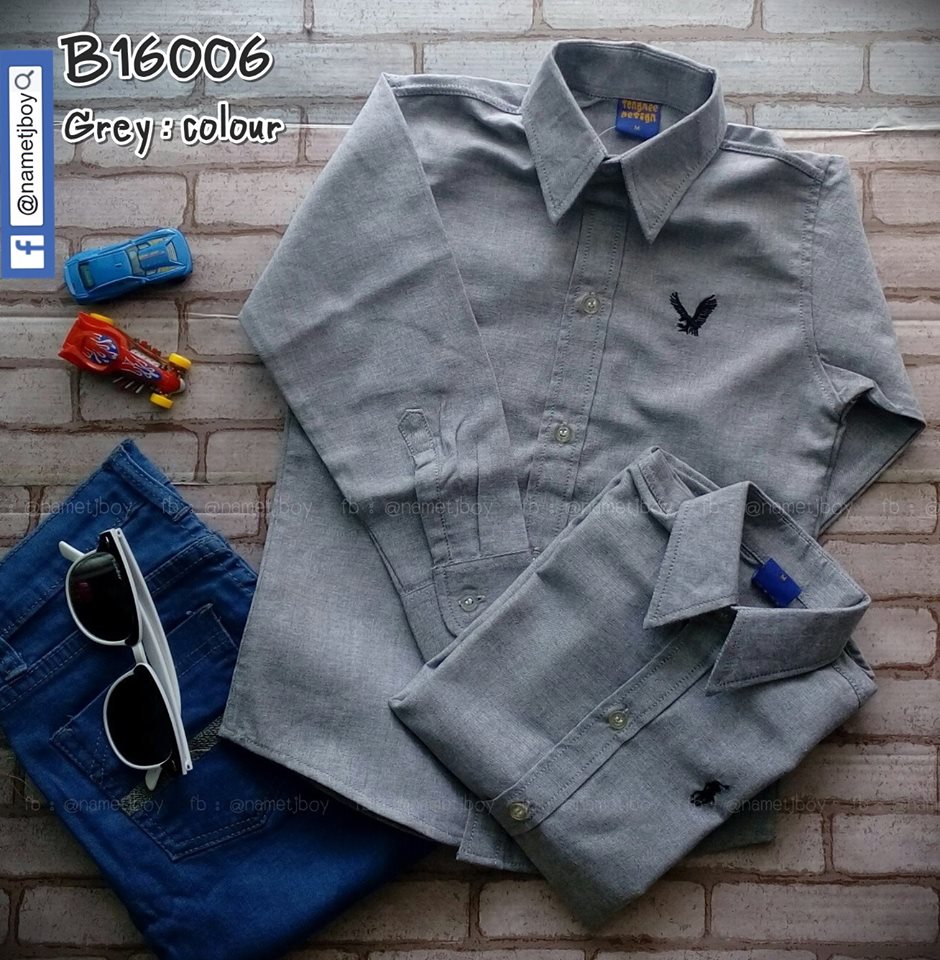 B16006 เทา