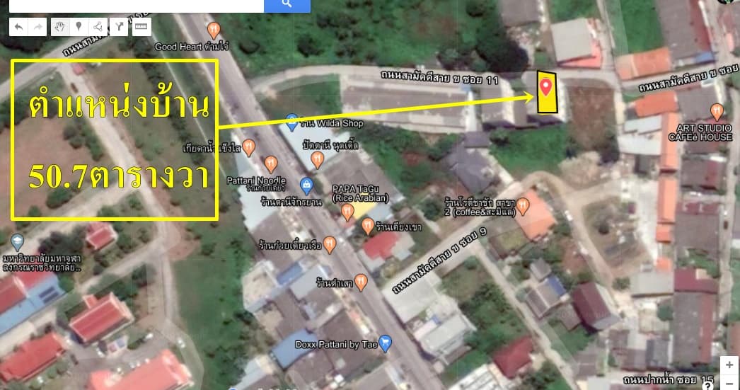 ขายบ้านรังนก พร้อมที่ดิน มีบ้านสำหรับพักได้ด้านล่าง มีนกแล้วประมาณ 350-400 ตัว