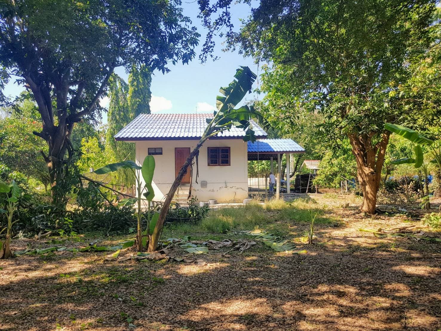 ขายที่ดินสวยพร้อมบ้านร้านขายของติดถนนหลวงด้านหลังเป็นสวนผลไม้พื้นที่กว้างขวางพร้อมสำหรับทุกคนในครอบครัวใกล้รร.บ้านเกาะสำโรง 800 เมตร อ.เมืองกาญจนบุรี