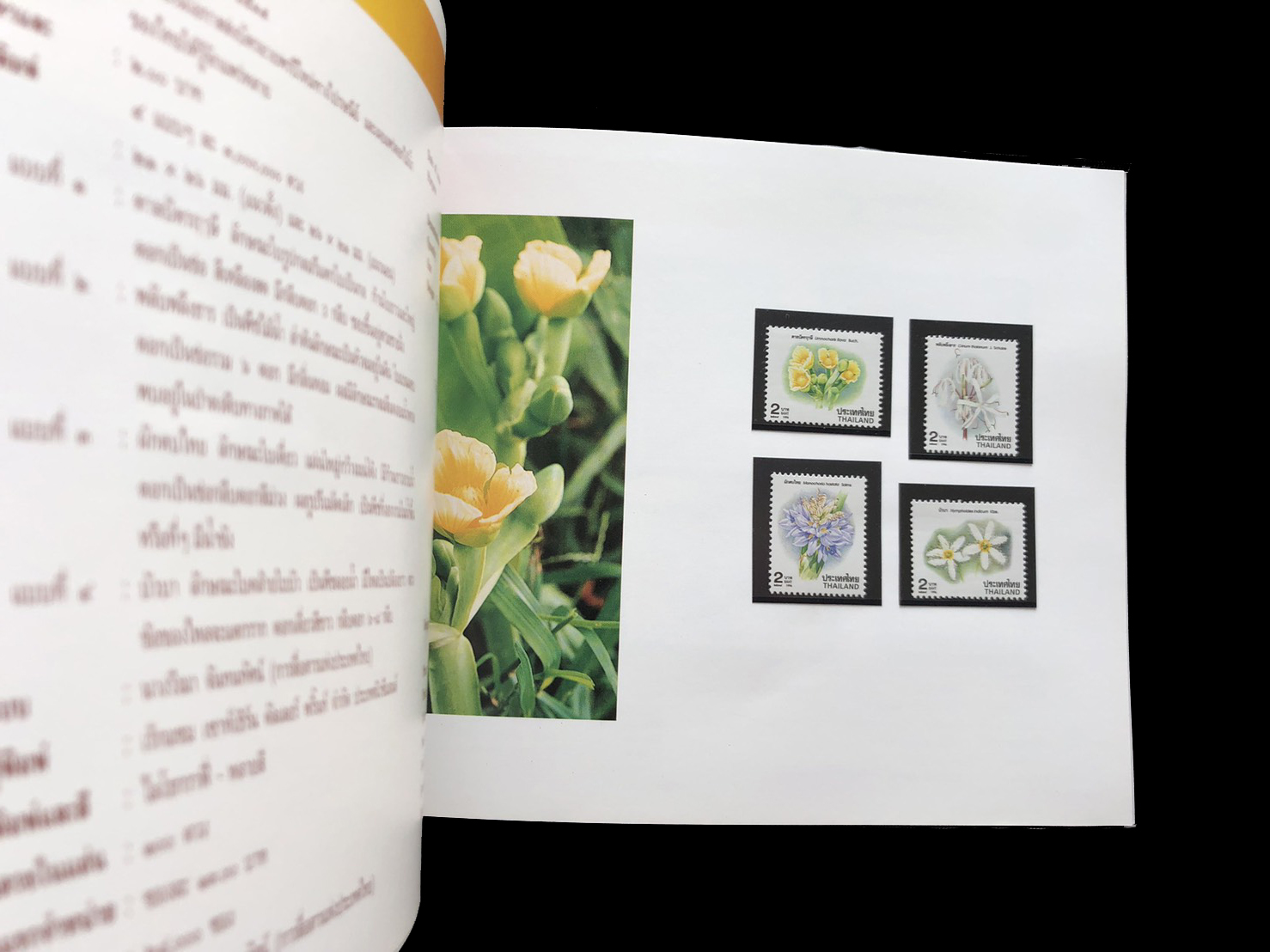 สมุดตราไปรษณียากรไทยประจำปี 2539 + แสตมป์ทองครองราชย์ 50 ปี