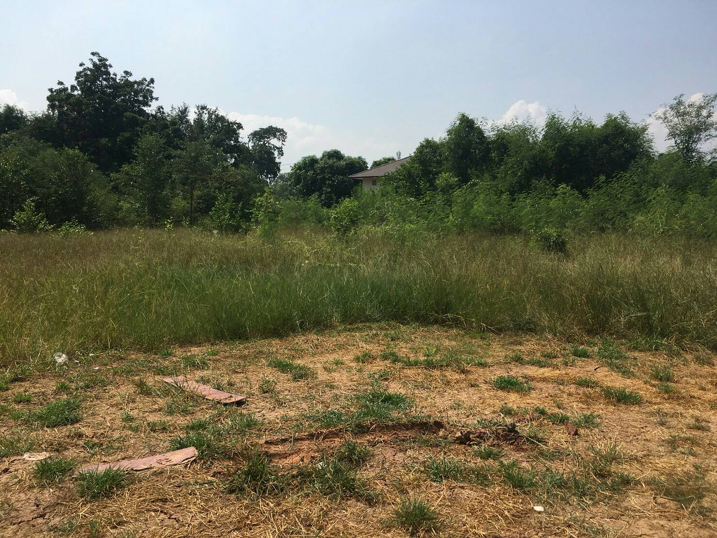 ขายที่ดินสวยภาชี ราคาถูกใกล้สถานีตำรวจภูธรภาชี 1.58 กม. จ.พระนครศรีอยุธยาการเดินทางสะดวกสบายเหมาะแก่การพักอาศัยหรือทำธุรกิจ