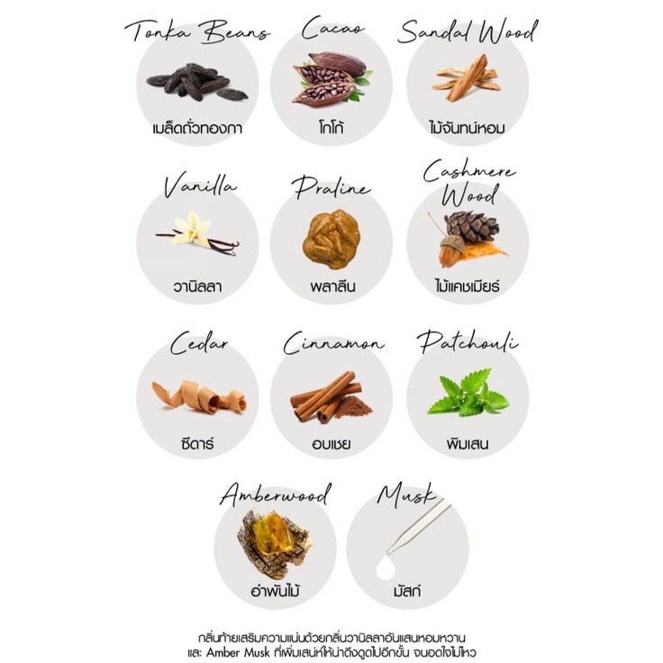 (1ซอง) CATHY DOLL โลชั่นน้ำหอม PERFUME LOTION SERIES 3 กลิ่น ชนิดซอง ขนาด 40 ML.