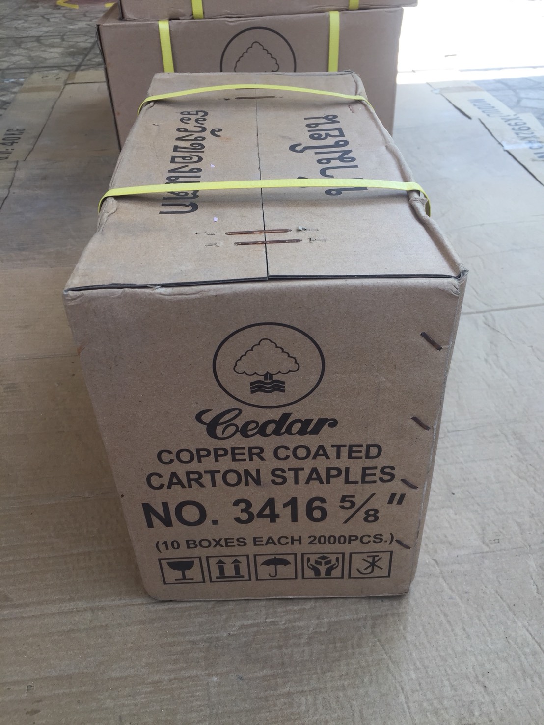 ลวดเย็บกล่อง Cedar