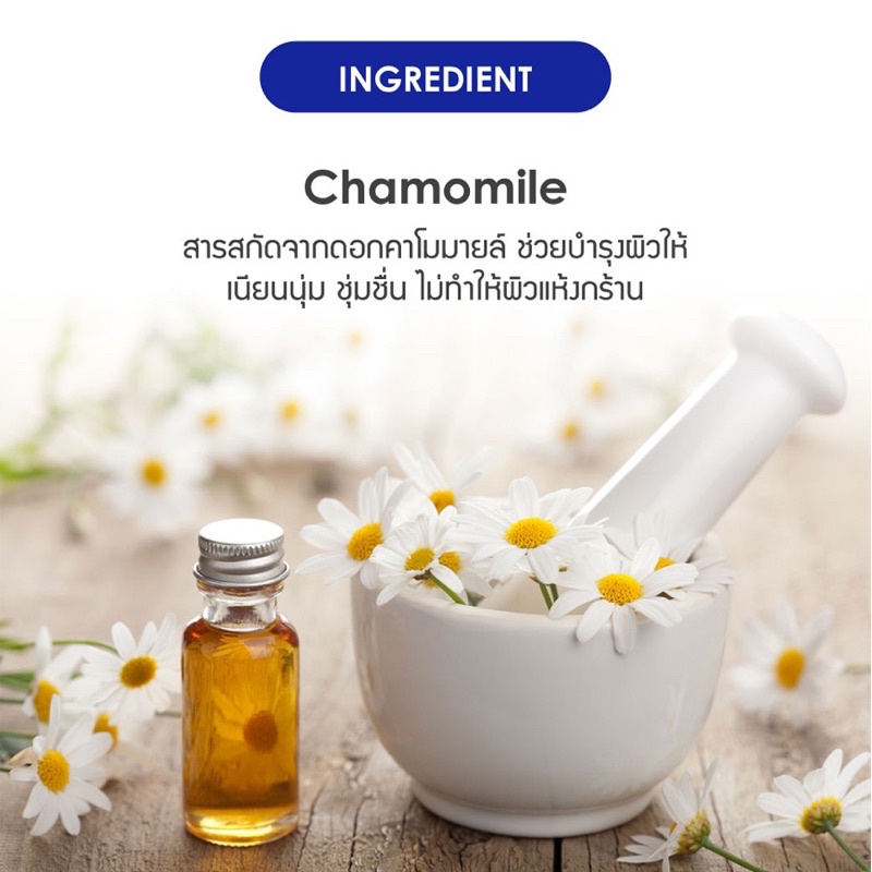 7 Clean Alcohol Hand Sanitizer Spray 20 ml สเปรย์อนามัย สูตรแอลกอฮอล 70%