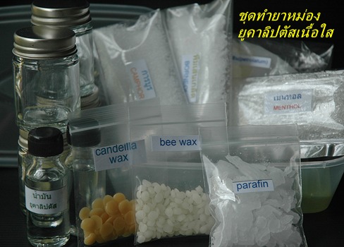 EUCALUPTUS BALM MAKING KIT ชุดทดลองทำยาหม่อง ยูคาลิปตัสเนื้อใส พร้อมบรรจุภัณฑ์ ระดับ อายุ 10 ปีขี้นไป