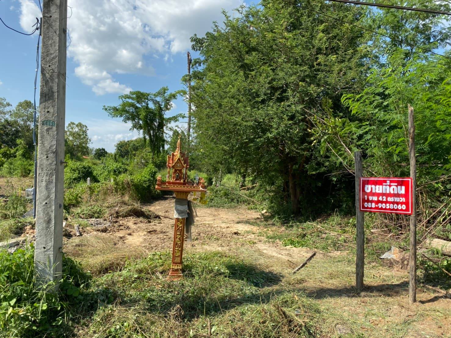 ขายที่ดินสวยราคาถูกติดถนนใหญ่ อ.บ้านด่านลานหอย จ.สุโขทัยห่างโรงเรียนบ้านด่านลานหอยวิทยา 112 เมตรเหมาะแก่การทำธุรกิจ