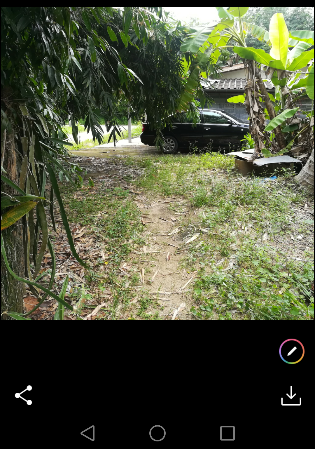 ขายที่ดินราคาถูกพร้อมสวนผลไม้สำเร็จรูป อ.บ้านค่าย จ.ระยอง7ไร่1งาน61ตรว.