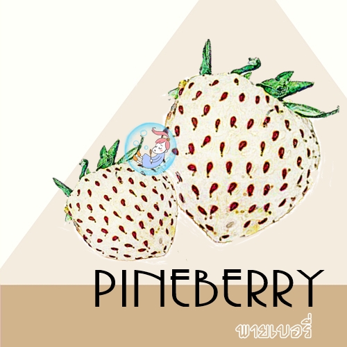 STRAWBERRY : Pinestrawberry น้ำมันหอม พายสตอเบอรี่ Sweet Fruity Powdery หอมหวาน นุ่มนวล ละลายในน้ำมัน และแอกอฮอล์-ไม่เร่งเทรซ