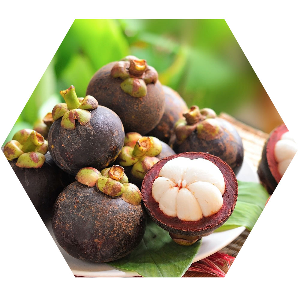 Mangosteen Ingredients