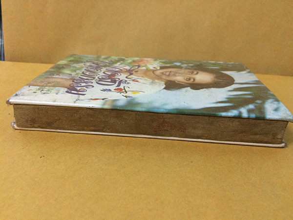 สื่อรักเพลงกรรม (เล่มเดียวจบ)