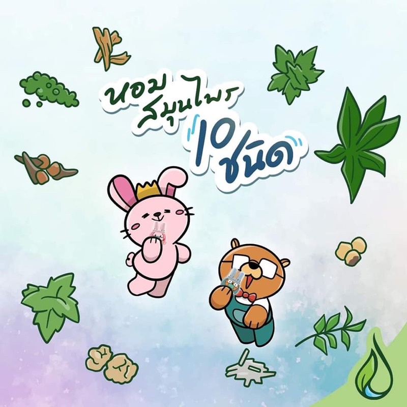 ยาดม 2 รู ยาดมสมุนไพร ยาดมดับเบิ้ล (12 ชิ้น คละลาย) Dumble Inhaler ลาย New Standard