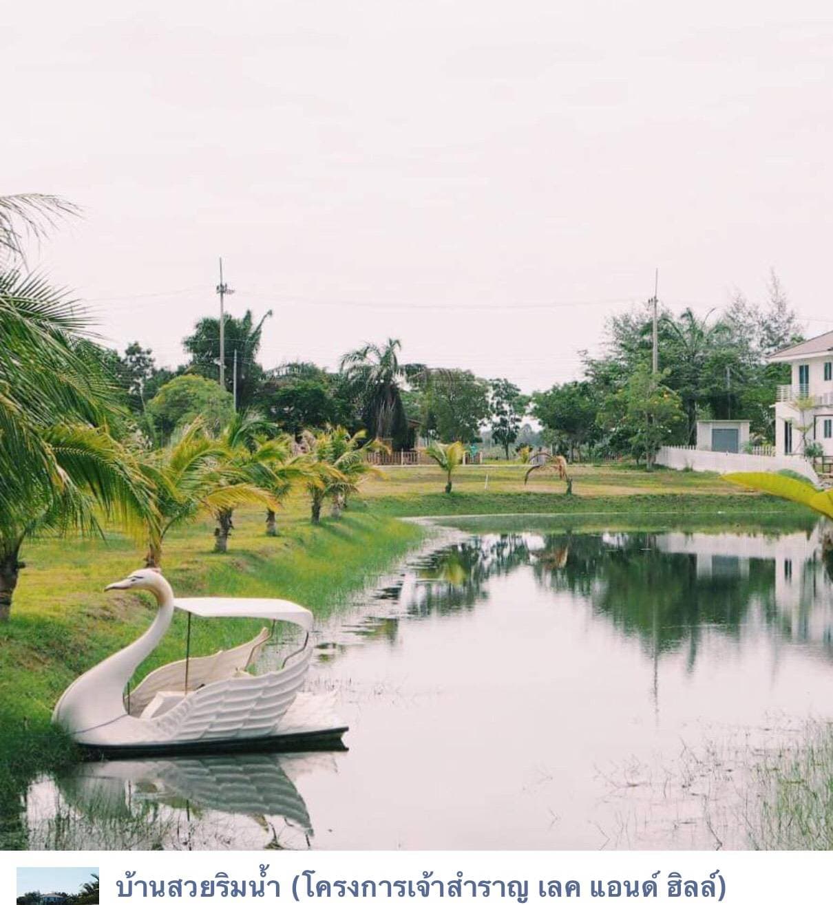 ขายที่ดินในโครงการจัดสรร 84 ตารางวา ใกล้ชายฝั่งทะเลหาดเจ้าสำราญ อ.เมืองเพชรบุรี บรรยากาศดีเหมาะสร้างบ้านอยู่อาศัยการเดินทางสะดวกสบาย