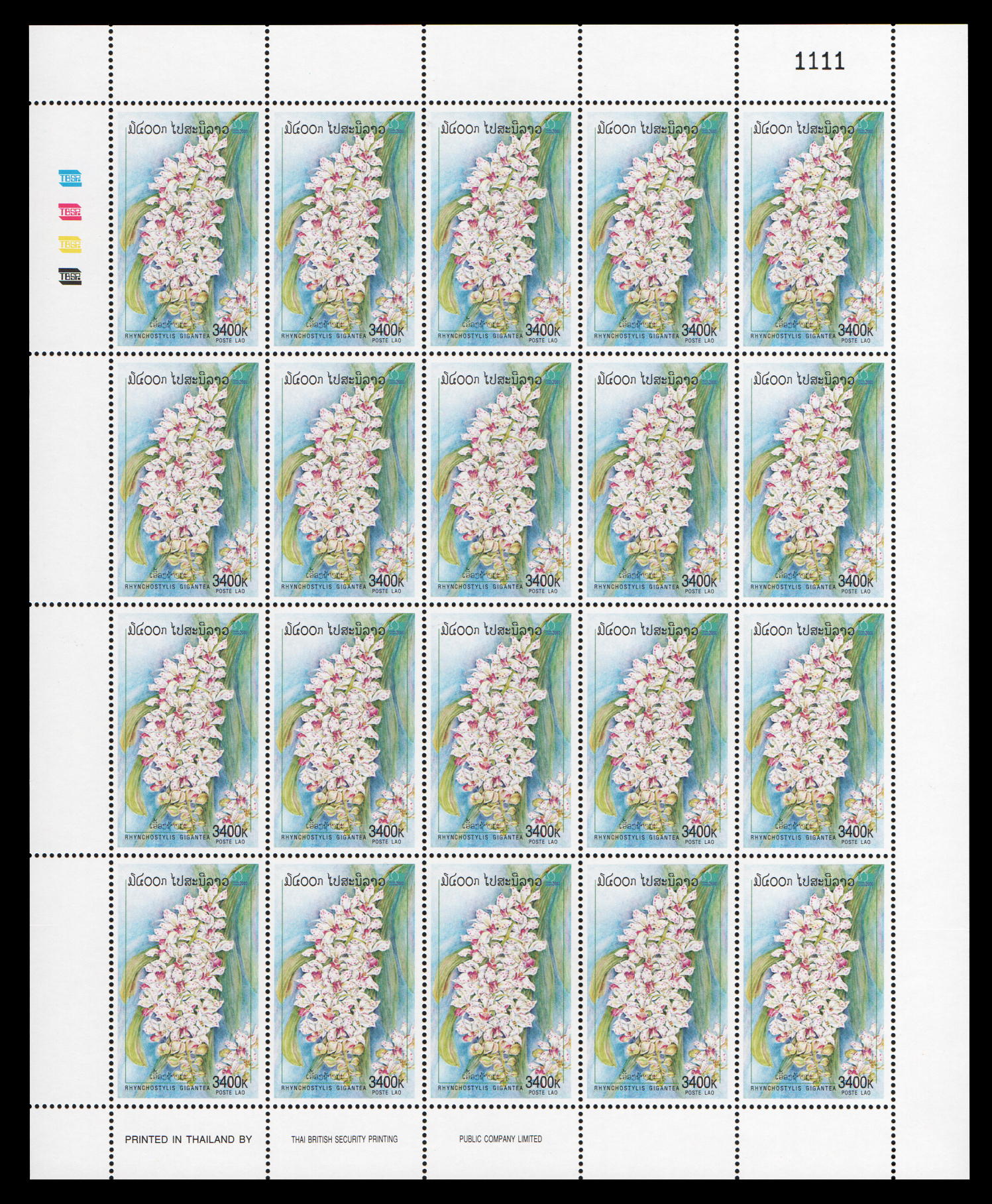 Orchid 2000 (เลข #1111)