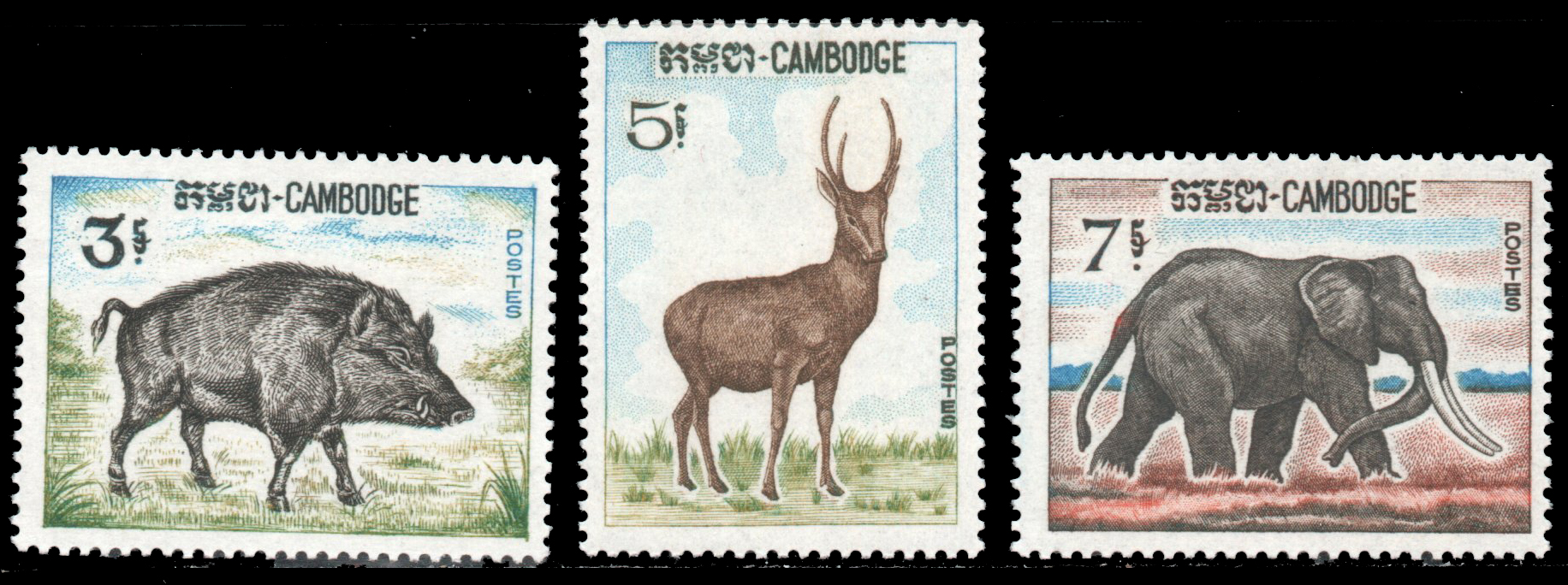 1967 Fauna