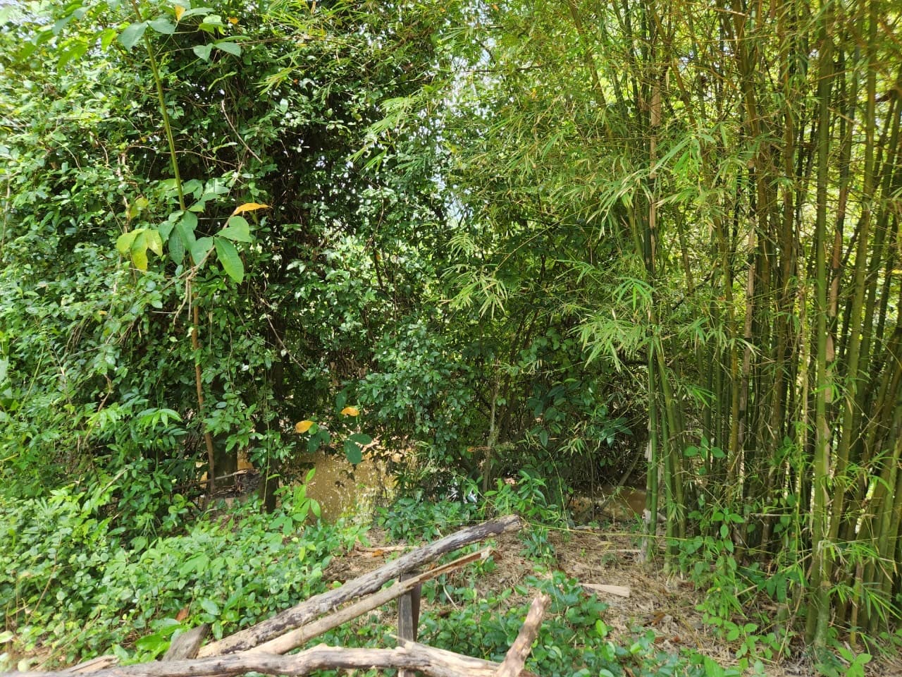 ขายสวนผลไม้ เงาะ มังคุด ทุเรียน ลองกอง ราคาถูก พร้อมบ้านพัก นํ้าไฟเข้าถึง ทางเข้าออกสะดวกสบายบรรยากาศดีเจ้าของขายเอง อำเภอมะขาม จังหวัดจันทบุรี