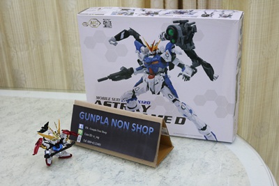 MG 1/100 Astry Out Frame D [Momoko]