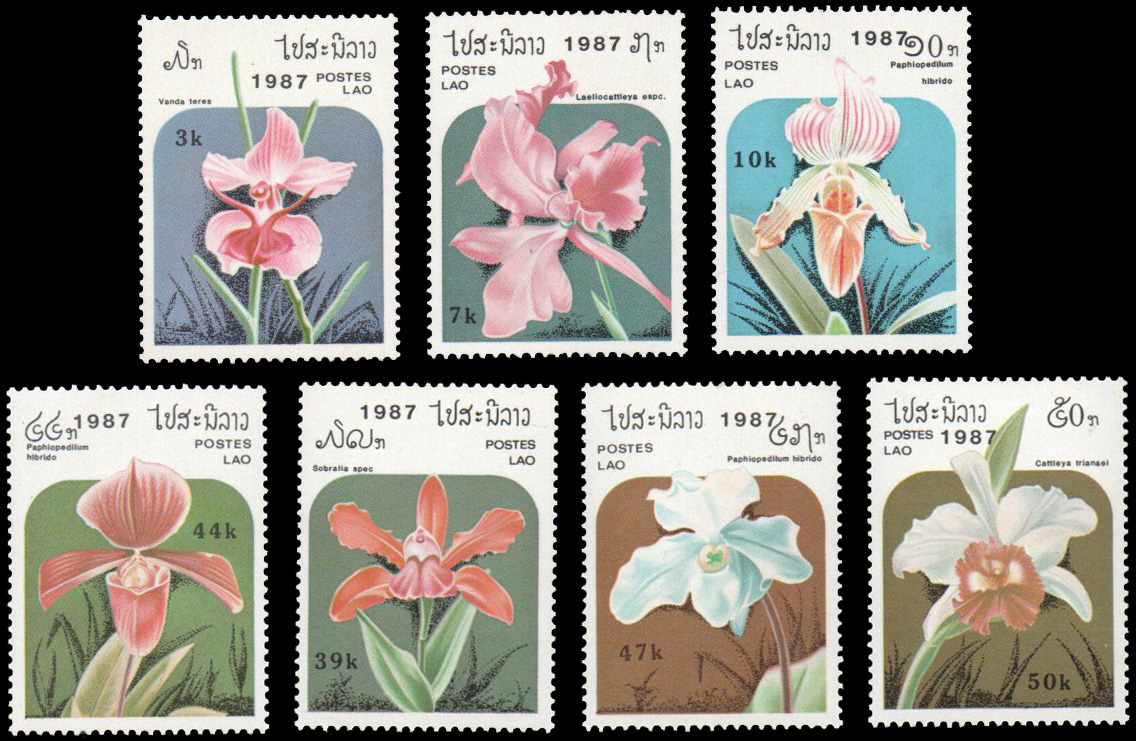 1987 Orchids