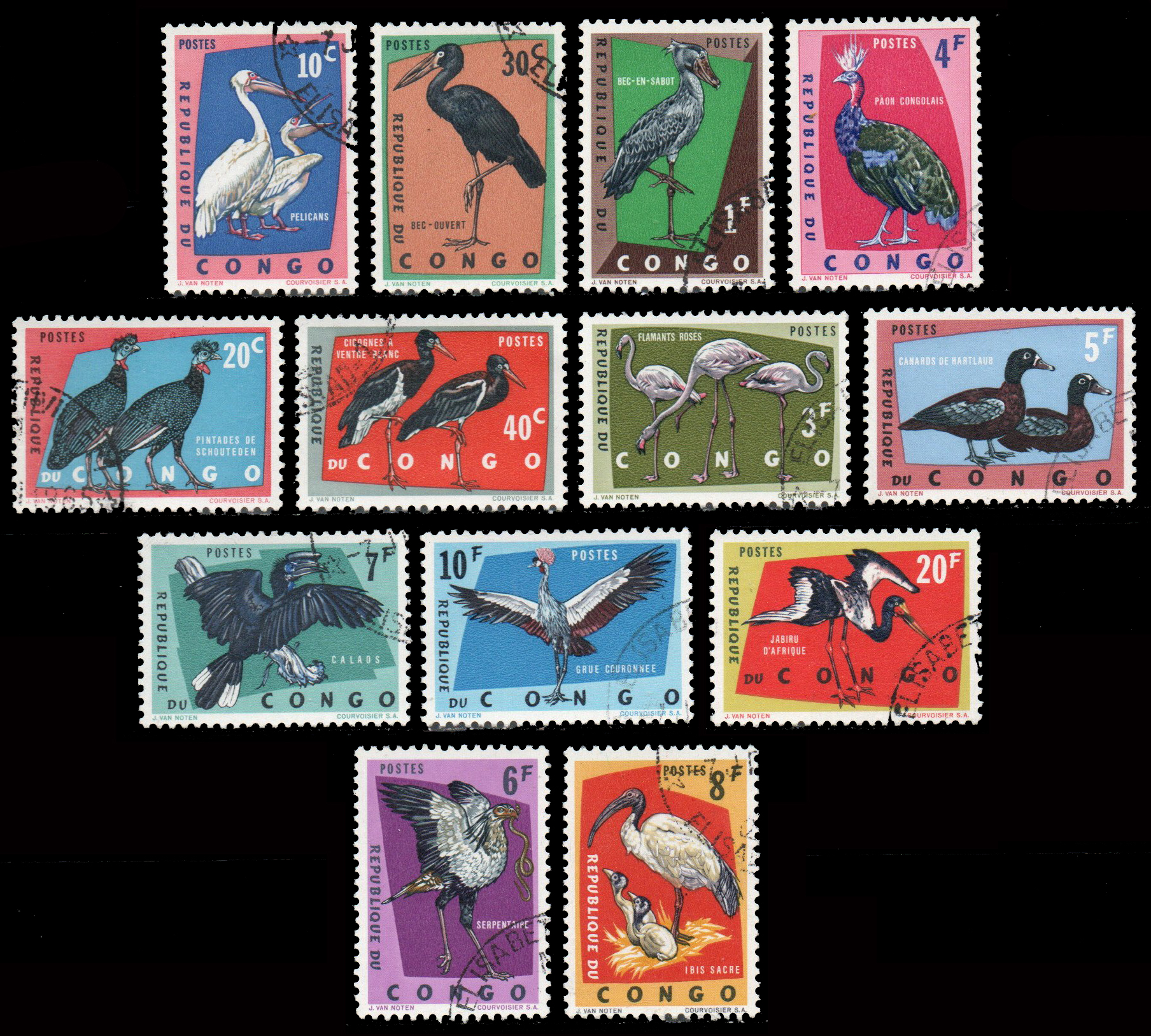 Birds