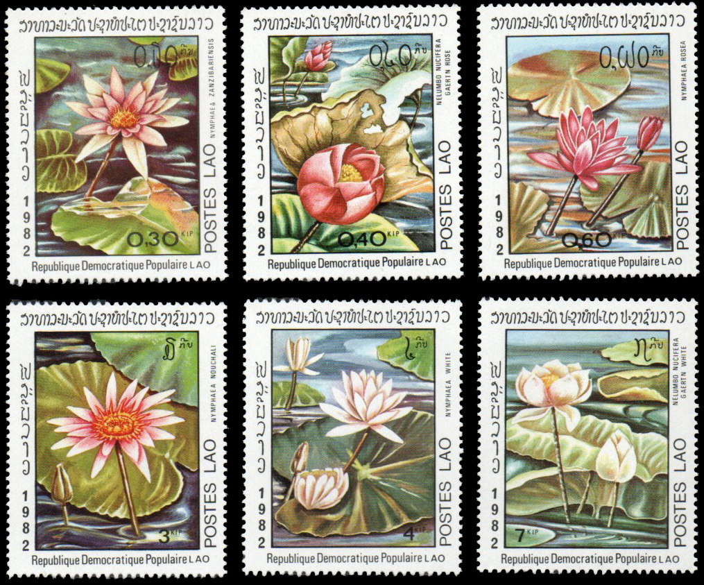 1982 Water Lilies