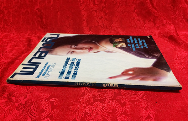 ไฟกลางคืน Playmates