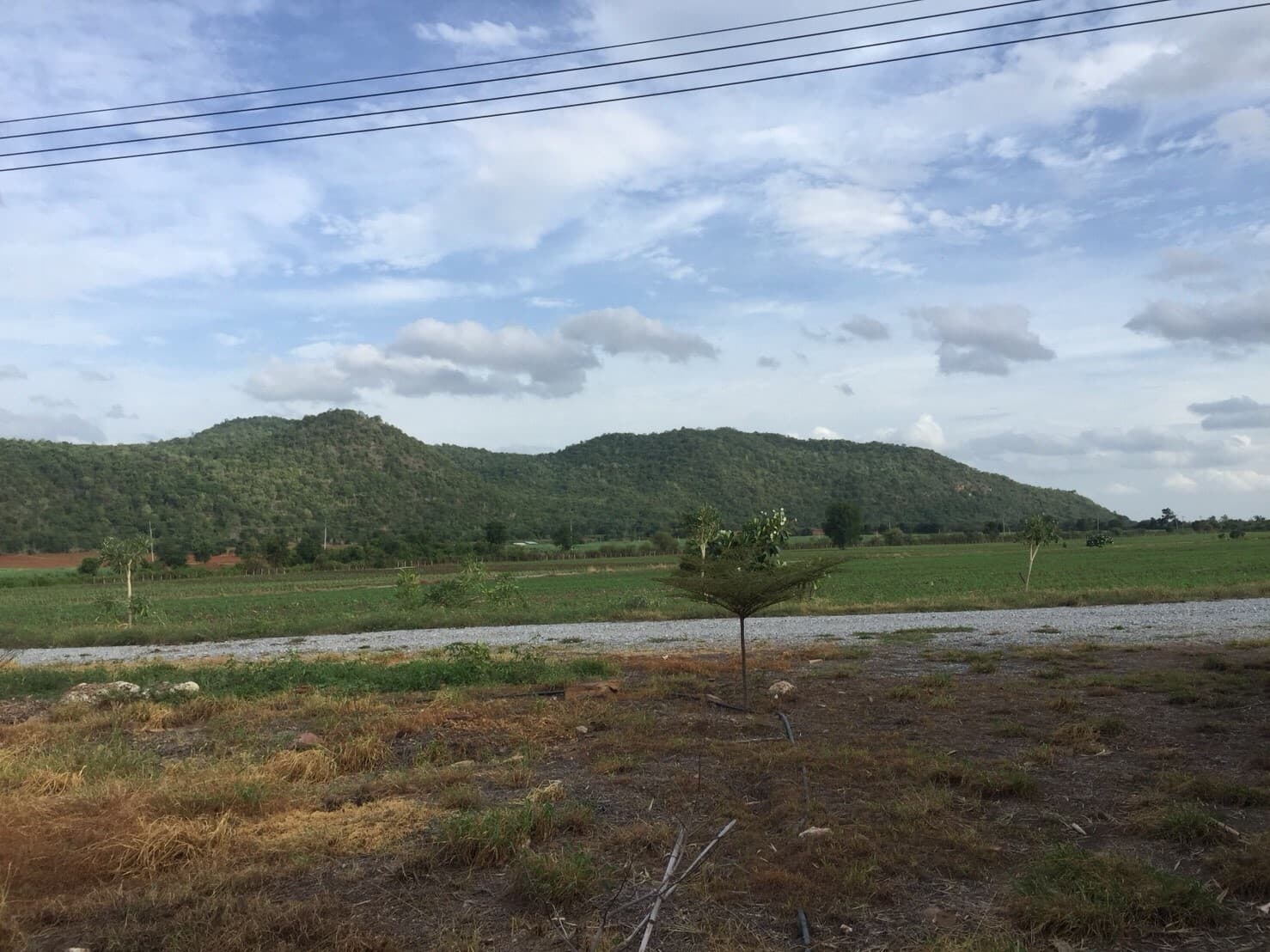 ขายที่ดินจัดสรรค์สวยราคาถูกติดถนน 3 ด้านห่างทุ่งดินดำรีสอร์ท 548 เมตร ใกล้อบต. เลาขวัญ 2.8 กม. รพ.เลาขวัญ4.8กม.อ.อู่ทอง จ.สุพรรณบุรี