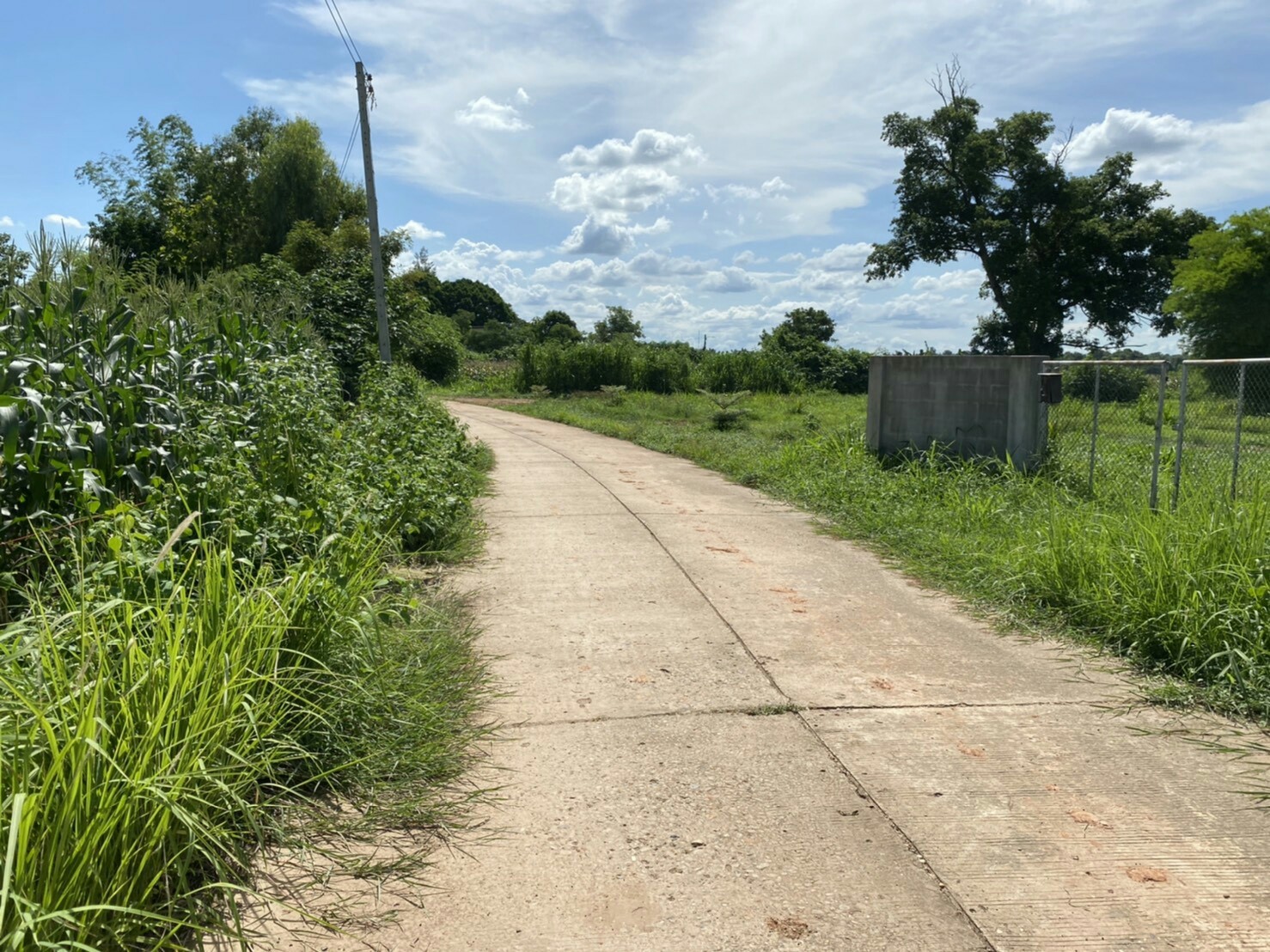 ขายที่ดินติดริมแม่นํ้าโขง อ.เมืองหนองคาย 300 ตรว. ด้านหน้าเป็นคอนกรีตบรรยากาศดีเหมาะแก่การสร้างบ้านอยู่อาศัยหรือทำธุรกิจพื้นที่กว้างพร้อมสำหรับทุกคนในครอบครัว