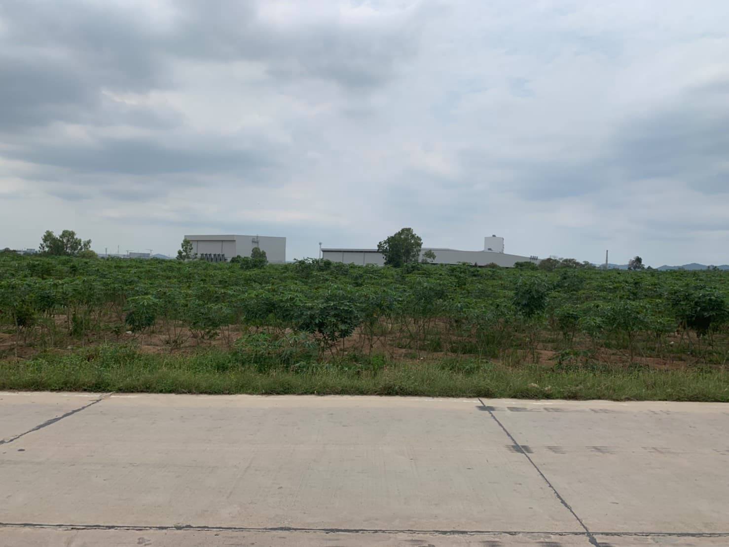 ขายที่ดินในเขตนิคมอุตสาหกรรมราคาถูกเหมาะทำธุรกิจพื้นที่กว้างเดินทางสะดวก6ไร่ติดถนนห้างแก้ว5อ.ปลวกแดงจ.ระยอง