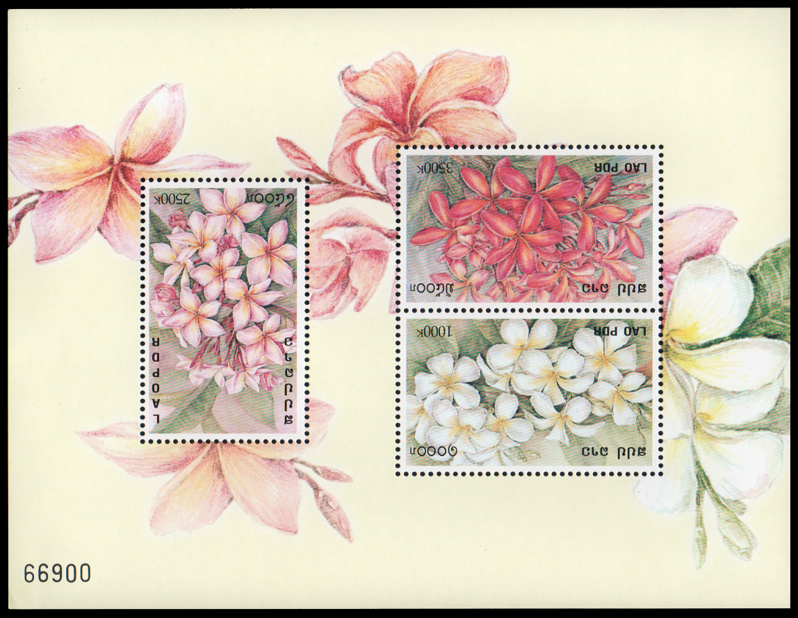 The Frangipani 2001